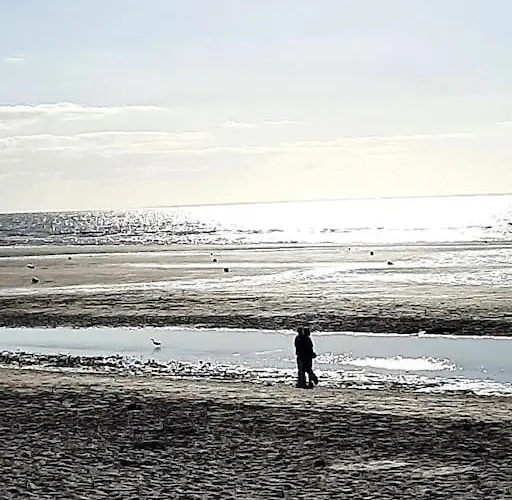 Apartamento Cosy à 50m De La *